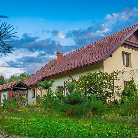 Noclegi Przylesie Rychnowy Zewnętrze zdjęcie
